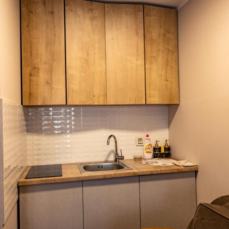 Zlatibor Hills - Modern Apartment Terrace & Free Parking - Studio sa Pogledom na Planinu - 3
