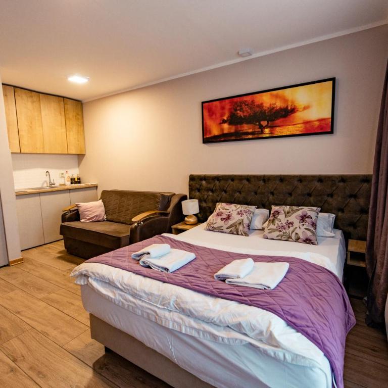 Zlatibor Hills - Modern Apartment Terrace & Free Parking - Studio sa Pogledom na Planinu - 4