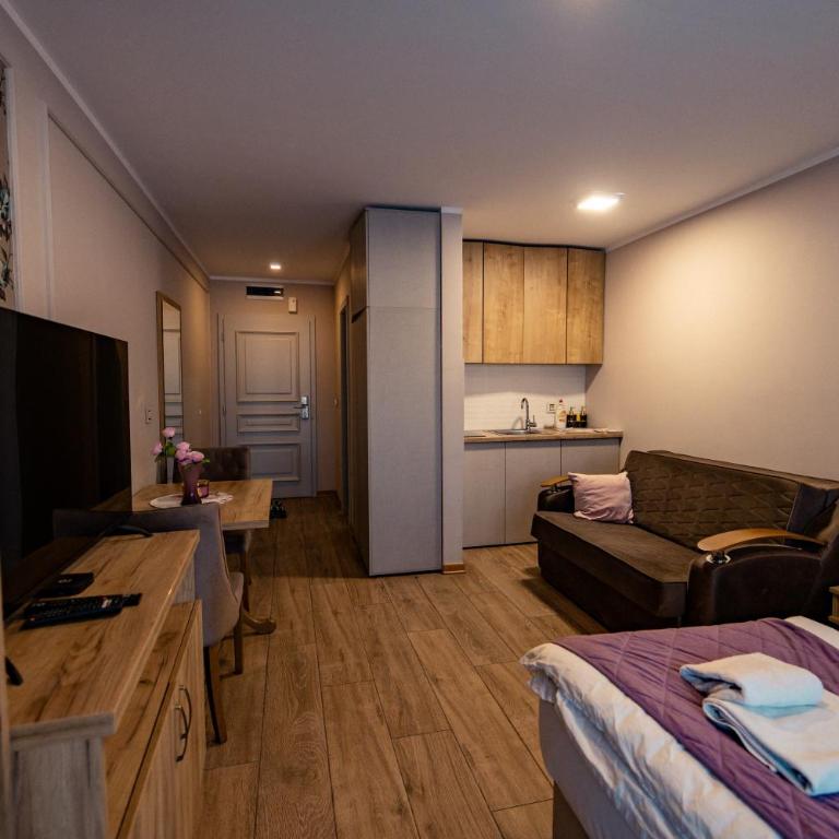 Zlatibor Hills - Modern Apartment Terrace & Free Parking - Studio sa Pogledom na Planinu - 9