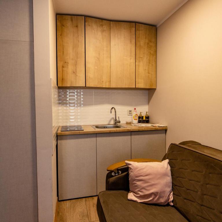 Zlatibor Hills - Modern Apartment Terrace & Free Parking - Studio sa Pogledom na Planinu - 47