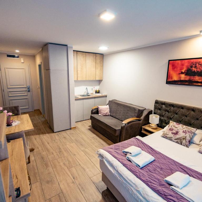 Zlatibor Hills - Modern Apartment Terrace & Free Parking - Studio sa Pogledom na Planinu - 56