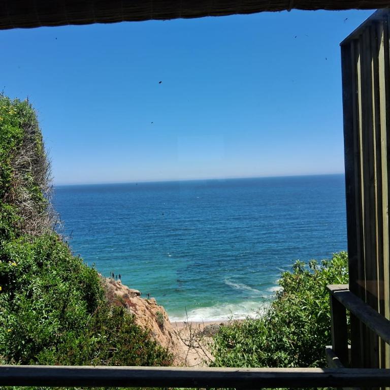 Primera línea Frente al mar - One-Bedroom House - 18