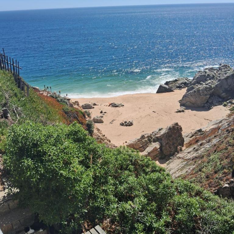 Primera línea Frente al mar - One-Bedroom House - 10