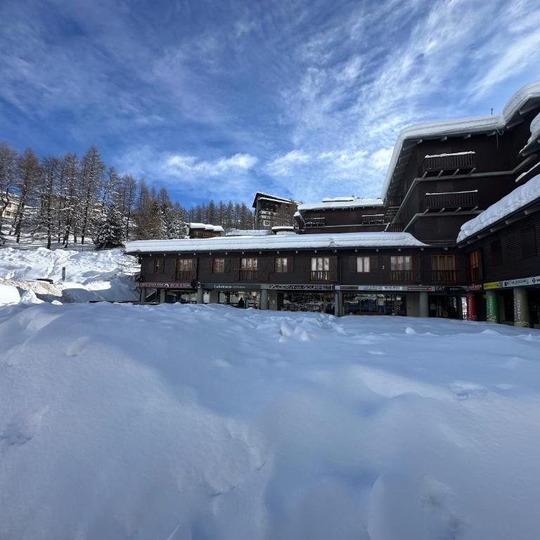 Panorama sul Cervino - Appartamento con 1 Camera da Letto - 31