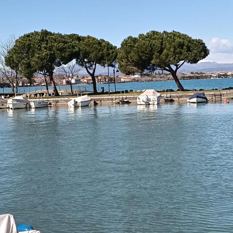 Casa Giovanna Appartamento vicino al lago - Appartamento - Piano Terra - 44