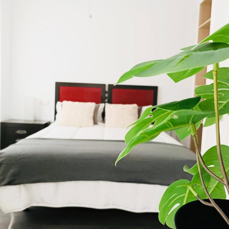 Apartamento vacacional Cuarteles - Apartamento de 1 dormitorio - 5