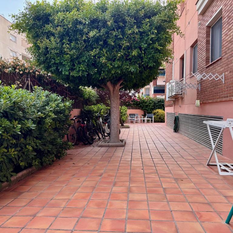 Ideal para familias con jardín privado, piscina y playa a 2 min - Apartamento - Planta baja - 16