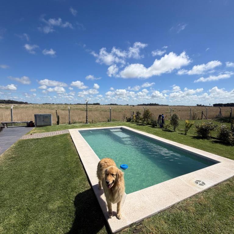 Sol de campo - Three-Bedroom House - 20