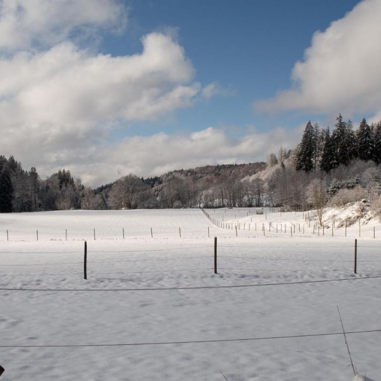 Allgäu Ferienwohnung Natur & Spa - Apartment 314 - Maisonette-Apartment - 29
