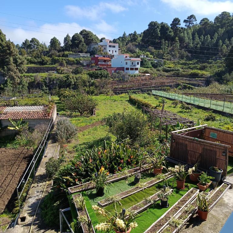 Loft Vista al Teide - Apartamento de 1 dormitorio - 2