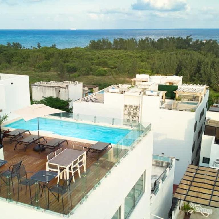 New 1 bedroom apt + Ocean view - One-Bedroom Apartment - 2