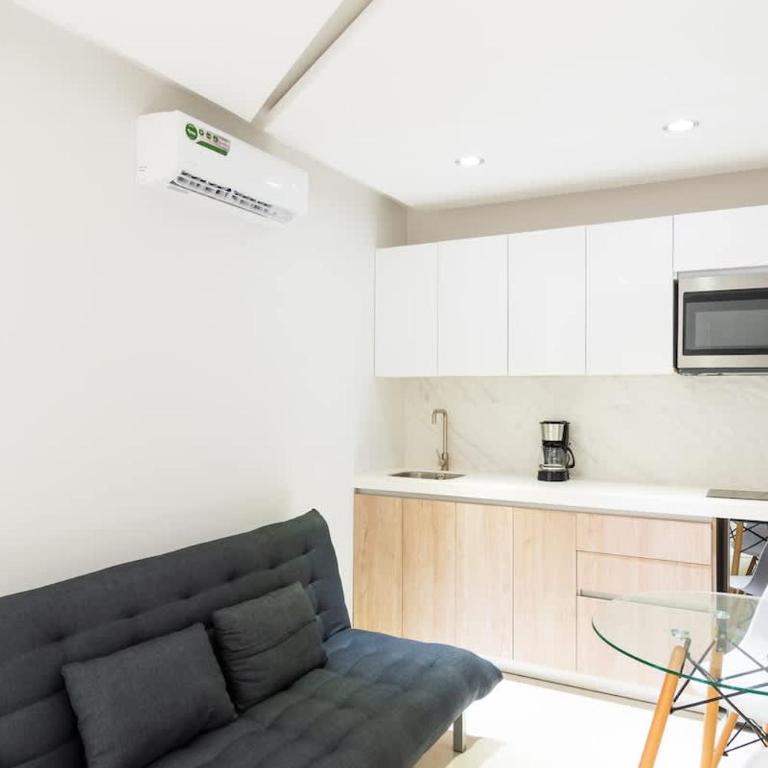 New 1 bedroom apt + Ocean view - One-Bedroom Apartment - 9