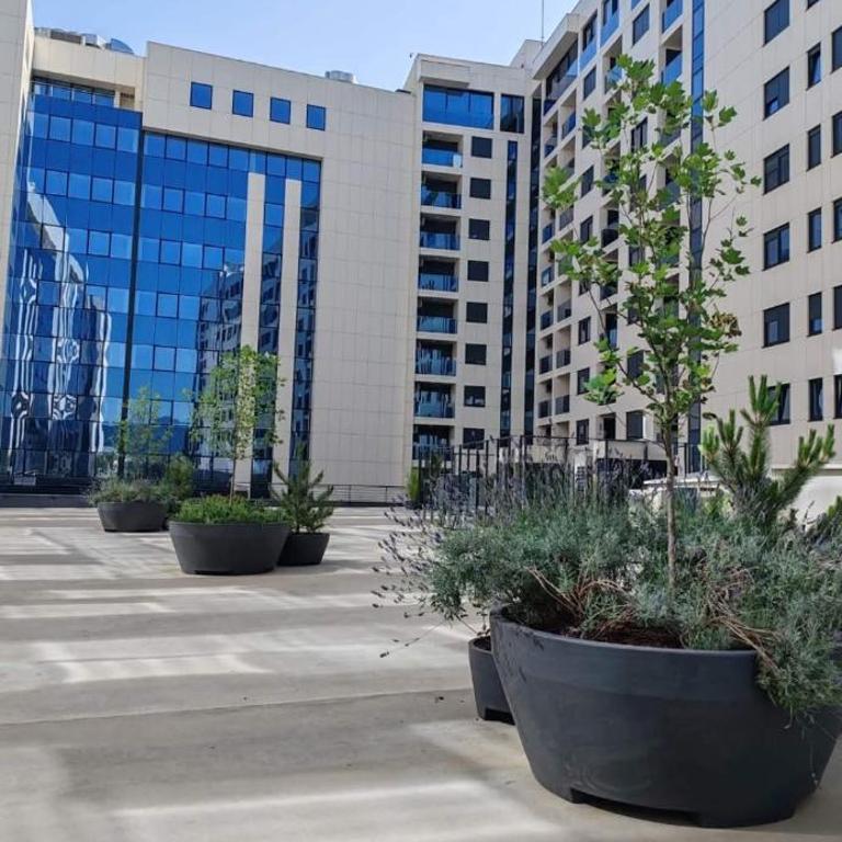 Divna-Besplatan parking - Apartman sa 1 Spavaćom Sobom - 3