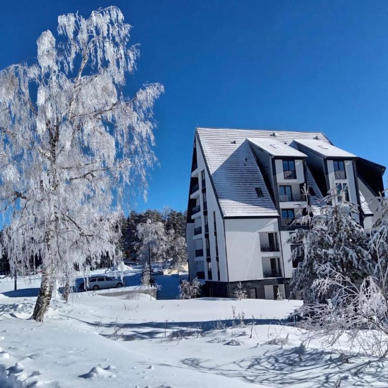 Apartman Maxim Divčibare - Apartman sa 1 Spavaćom Sobom - 3