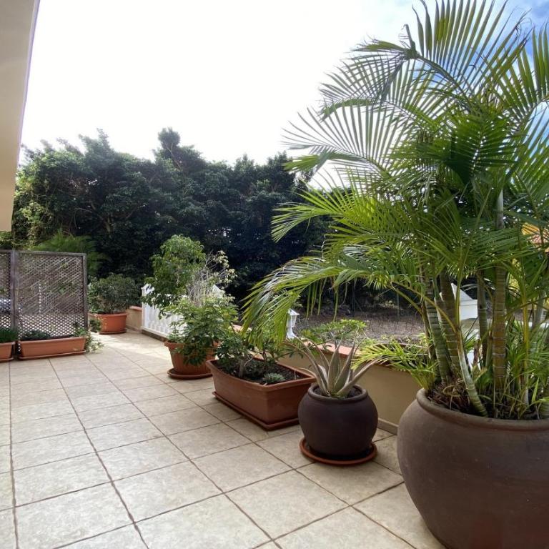 Apt. Passiflora 1B - Apartamento de 1 dormitorio - 24