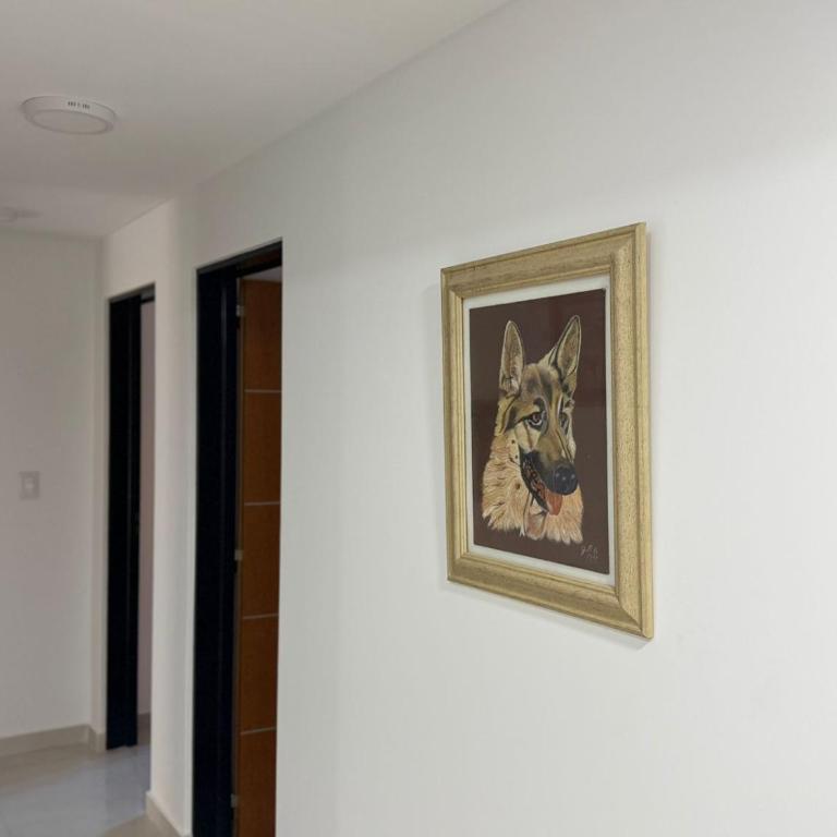 Monte Grande Family Stay - Balcón y parilla - Apartamento de 2 dormitorios con balcón - 31