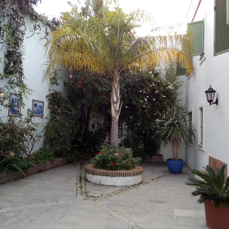 Gravina Comfort - Apartment - Ground Floor - 46