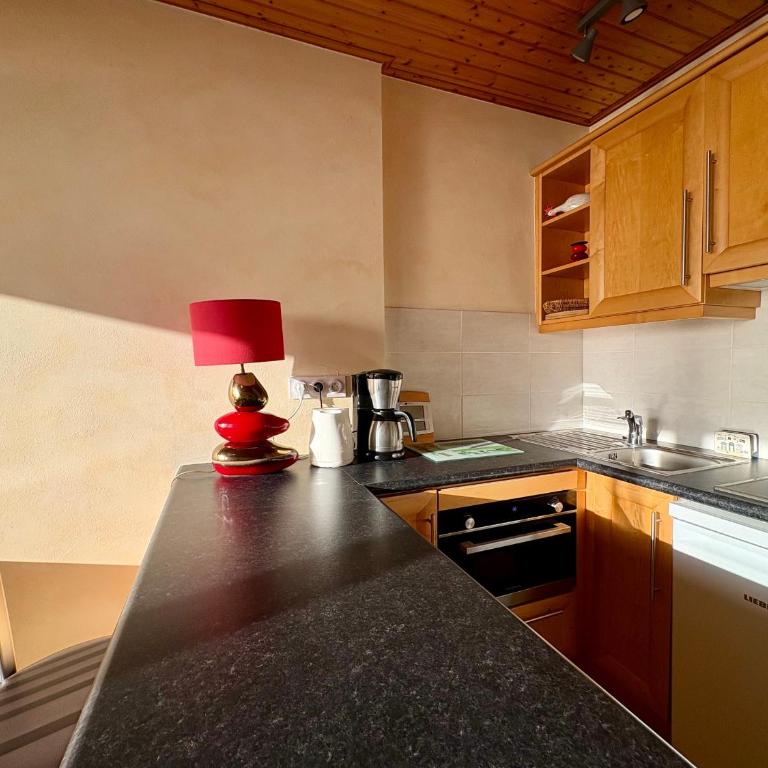 Appartement 1 chambre, 4 pers, parking privé, face mer, école de voile - FR-1-323-103 - Apartment (4 Adults) - 12