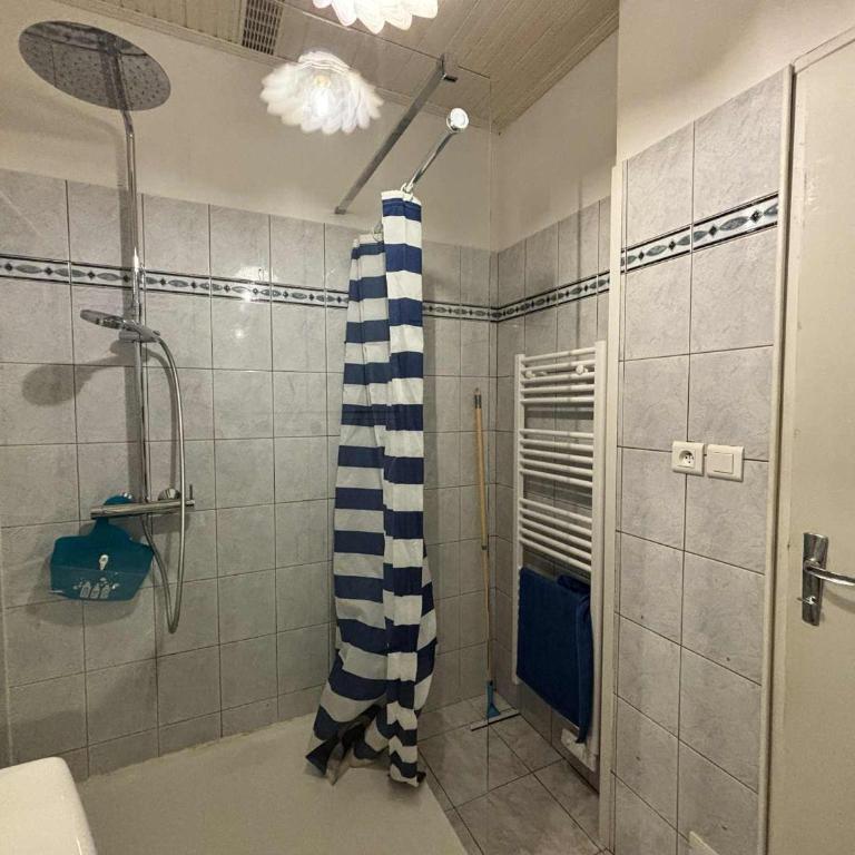 Maison de vacances pour 9 sous les pins à La Grière, La Tranche-sur-Mer, à 450m de la plage - FR-1-194-398 - Casa (9 adultos) - 12