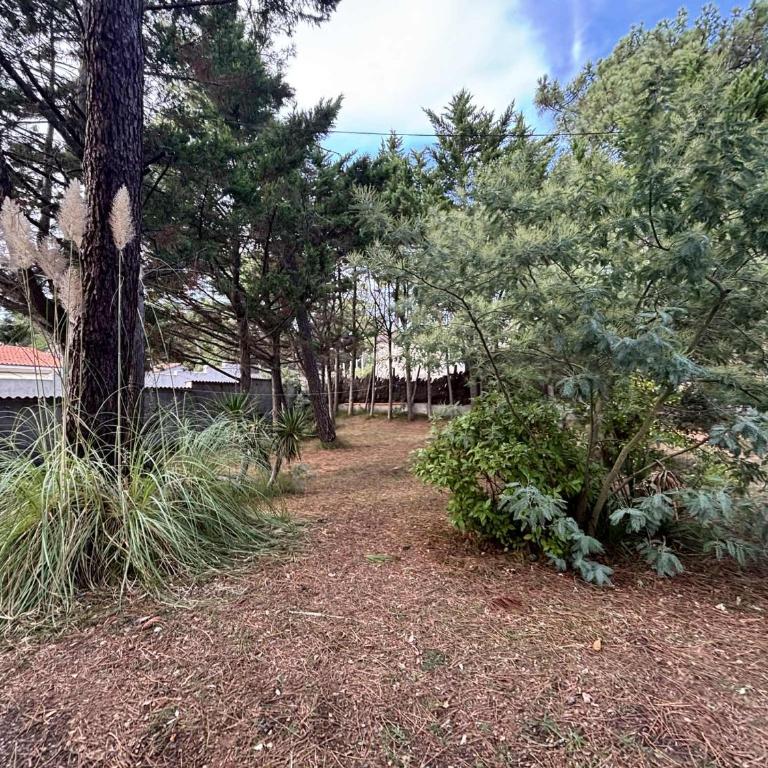 Maison de vacances pour 9 sous les pins à La Grière, La Tranche-sur-Mer, à 450m de la plage - FR-1-194-398 - Casa (9 adultos) - 24