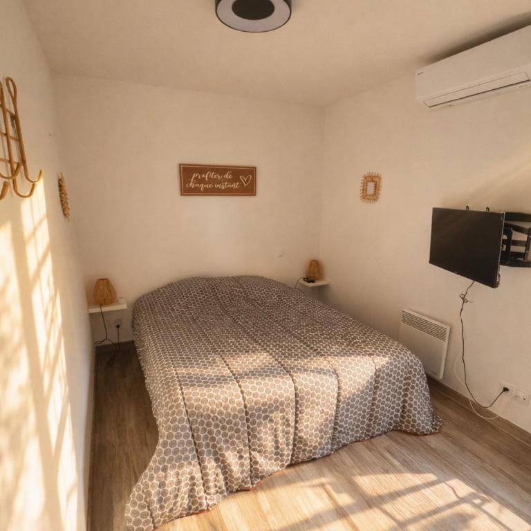 Appartement T2 Climatisé à Collioure avec Parking - FR-1-309-420 - Apartment - 8
