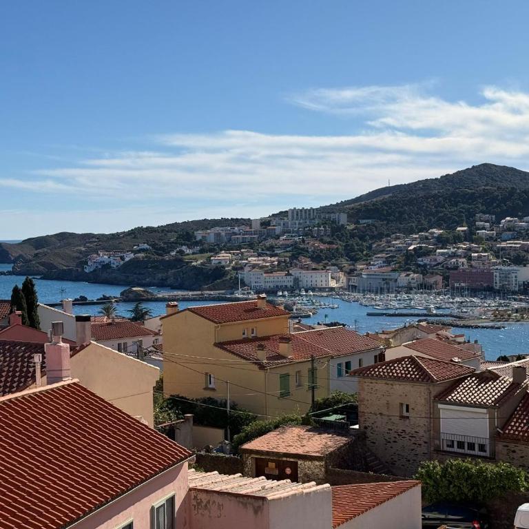 BANYULS-SUR-MER T2 avec vue mer, ascenseur et parking privatif - FR-1-309-102 - Apartamento de 1 dormitorio - 1