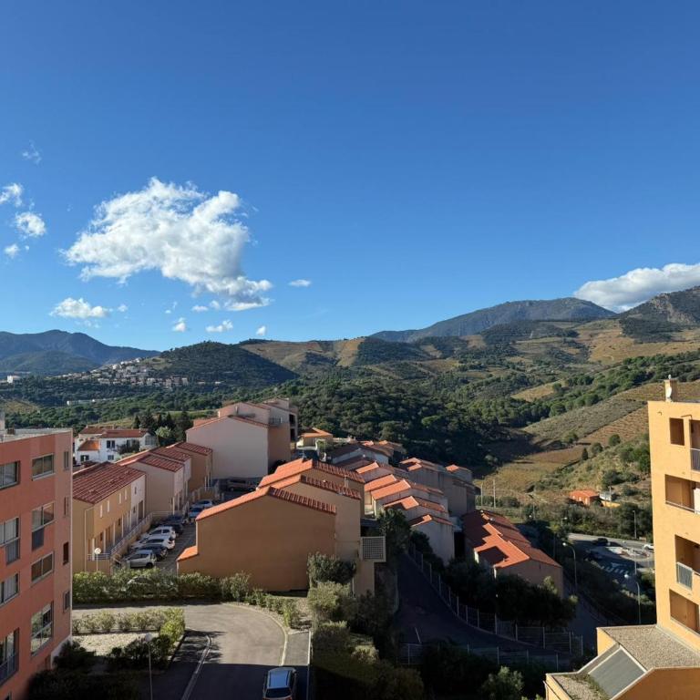 BANYULS-SUR-MER T2 avec vue mer, ascenseur et parking privatif - FR-1-309-102 - Apartamento de 1 dormitorio - 10