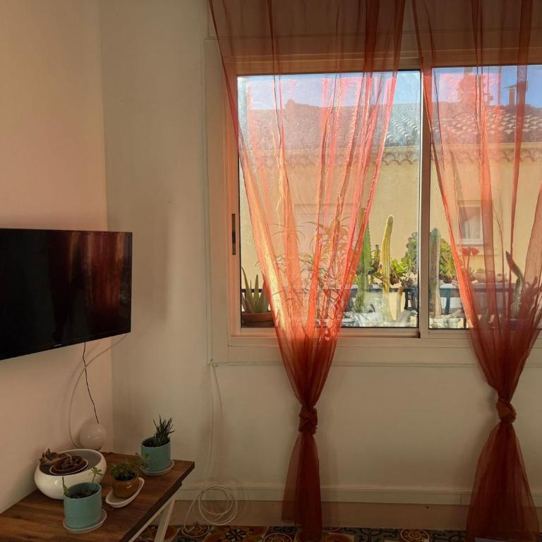 BANYULS-SUR-MER, appt T3 proche plages et commerces - FR-1-309-380 - Appartement 2 Chambres - 4