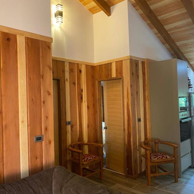 Departamento Pucón - Two-Bedroom Apartment - 3