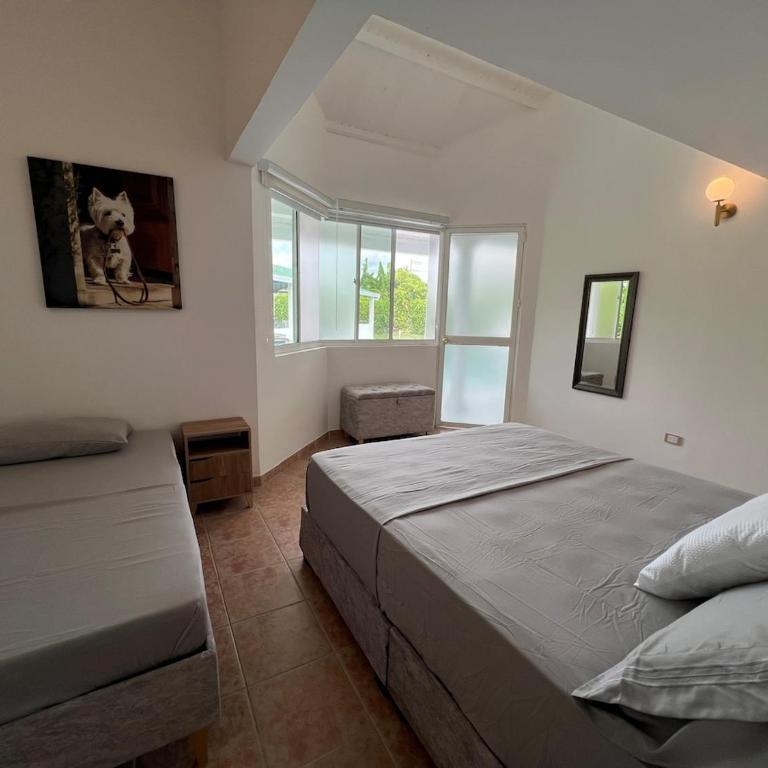 Villa Celeste - Country House - One-Bedroom House - 41