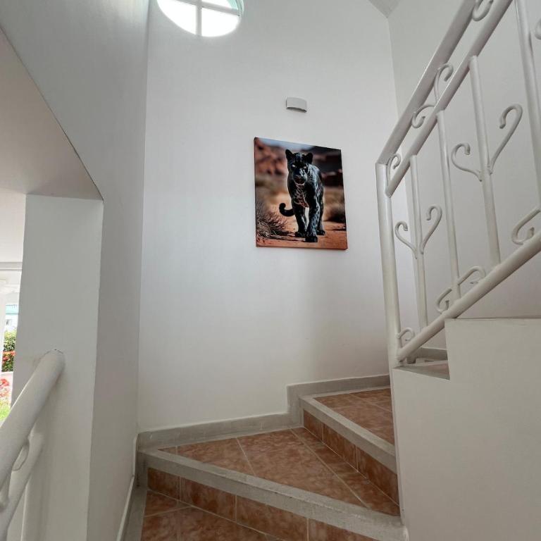 Villa Celeste - Country House - One-Bedroom House - 60
