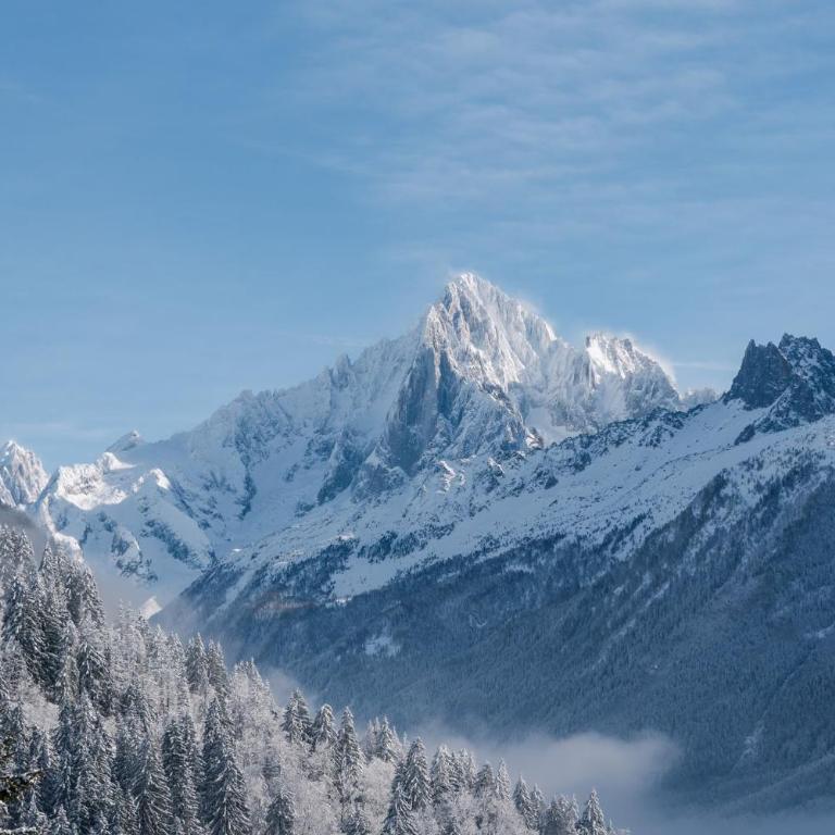 Apartment Cerna Les Houches - by EMERALD STAY - Appartement 3 Chambres - 38