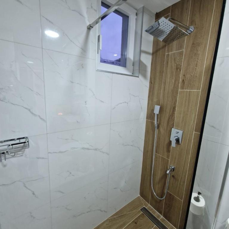 Koviljača apartman Demetrios - Apartman sa 1 Spavaćom Sobom - 20