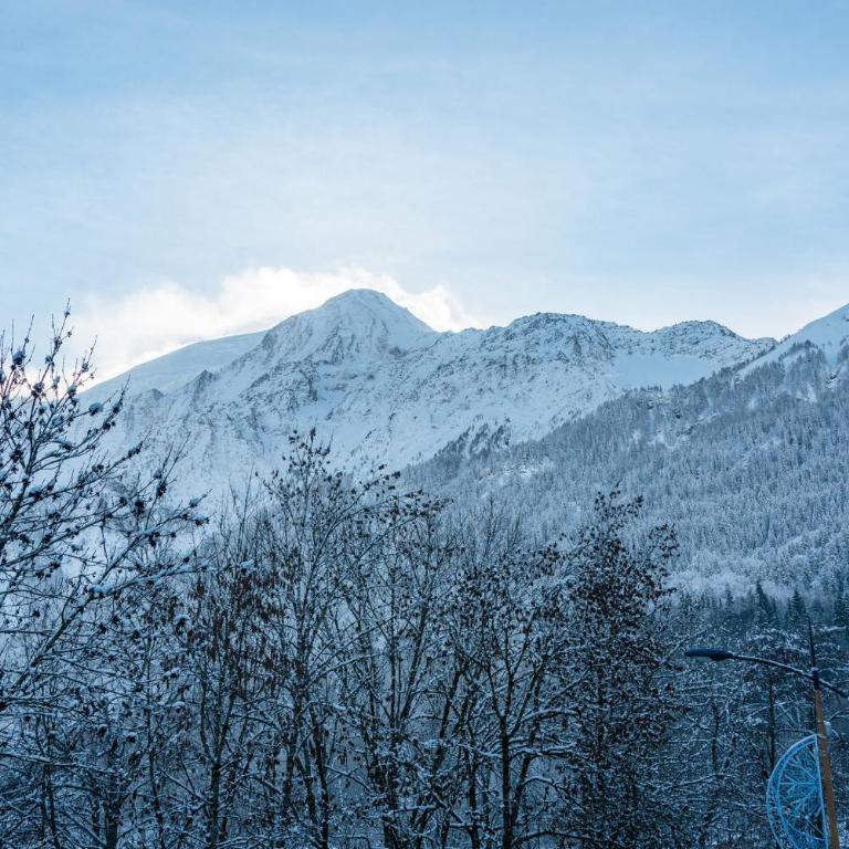 Apartment Omas Les Houches - by EMERALD STAY - Appartement 2 Chambres - 41