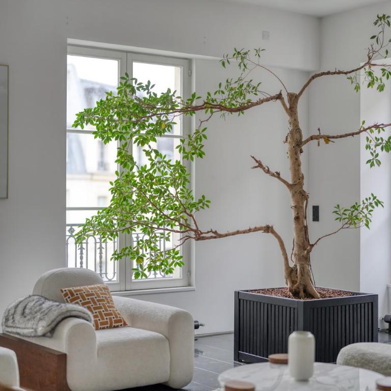 Appartement des Victoires Luxury - Appartement 3 Chambres - 3