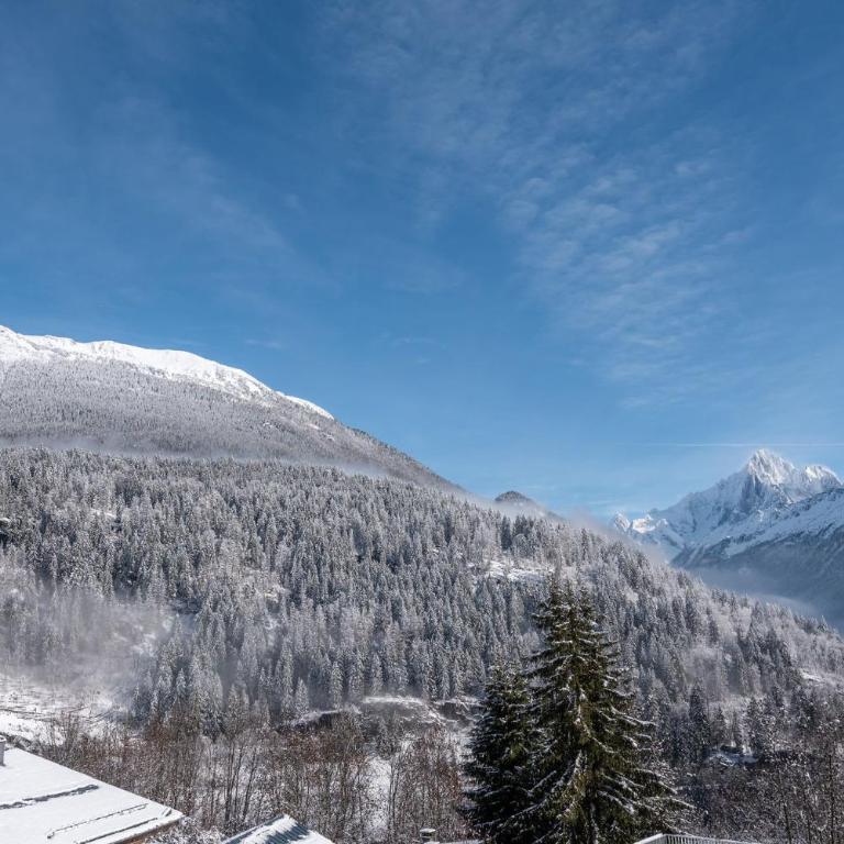 Apartment Cumaru, Les Houches - by EMERALD STAY - Appartement 2 Chambres - 52