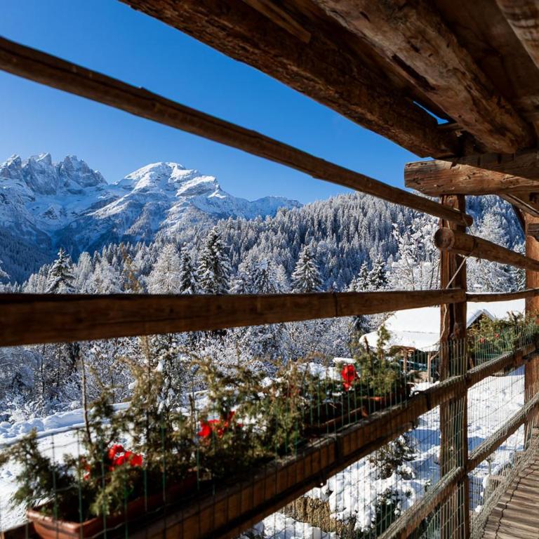 Agriturismo Piccola Baita - Appartamento con 1 Camera da Letto, Balcone e Vista Montagna - 1