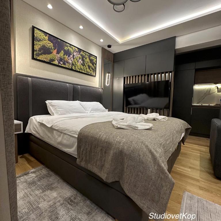 Vila Golija StudiovetKop - Studio Apartment - 16
