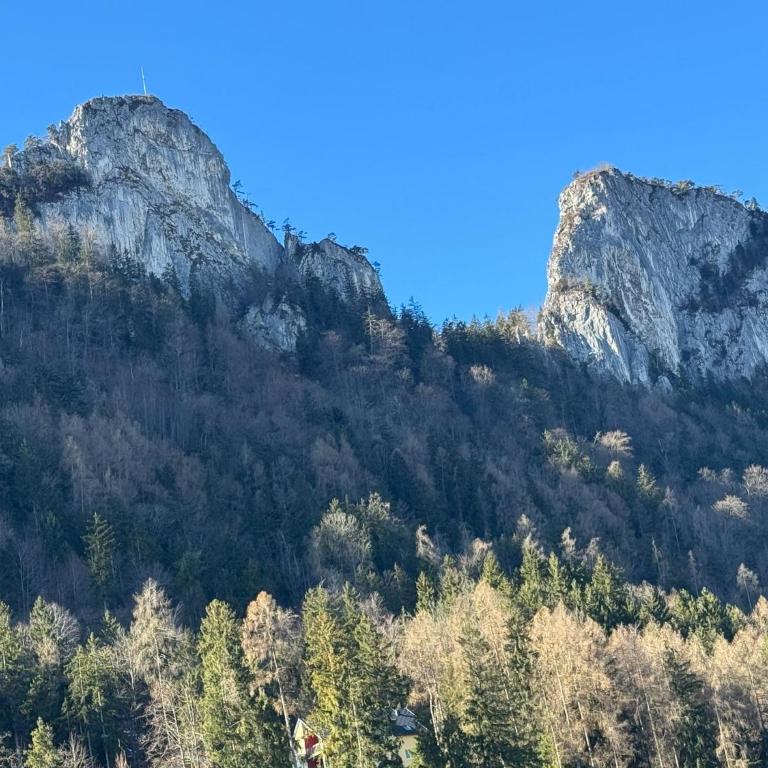 70qm 3-Zimmer Apartment am Tauernradweg in Hallein bei Salzburg, nahe Berchtesgaden, Roßfeld, Kehlsteinhaus, Obersalzberg, Watzmann, Schönau am Königsee, Fuschlsee, Schloss Hellbrunn, Burg Hohen Salzburg, Burg Hohen Werfen # Accommodation OC45, Chalet MH - Apartment mit 2 Schlafzimmern - 29