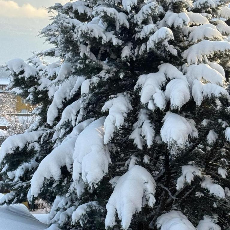 70qm 3-Zimmer Apartment am Tauernradweg in Hallein bei Salzburg, nahe Berchtesgaden, Roßfeld, Kehlsteinhaus, Obersalzberg, Watzmann, Schönau am Königsee, Fuschlsee, Schloss Hellbrunn, Burg Hohen Salzburg, Burg Hohen Werfen # Accommodation OC45, Chalet MH - Apartment mit 2 Schlafzimmern - 21