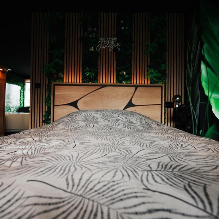 Jungle Room Dunkerque centre - Appartamento con 1 Camera da Letto - 10