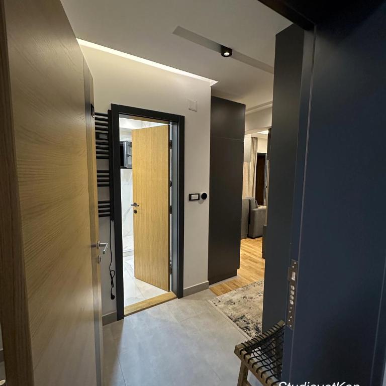 Vila Golija StudiovetKop - Studio Apartment - 23