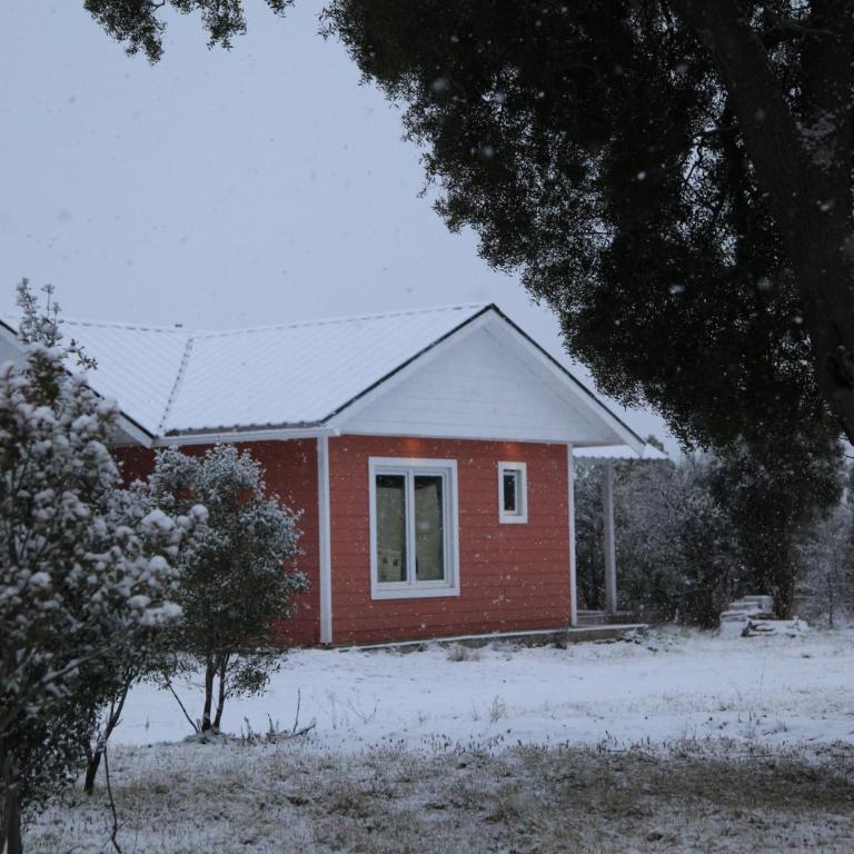 Maitenes Del Percy - Chalet de 2 dormitorios - 21