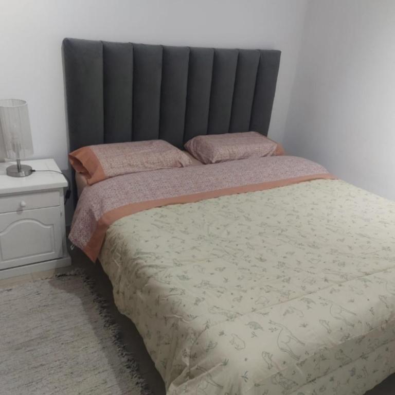 Arnal2020 - Room #1582897302 - 3