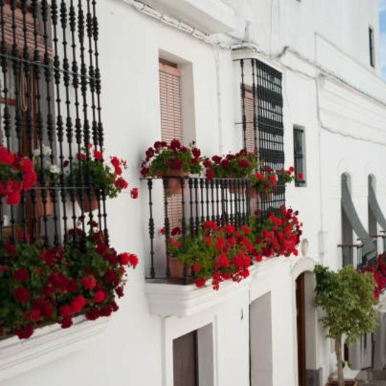 La Sacristía - Apartamento de 1 dormitorio - 24