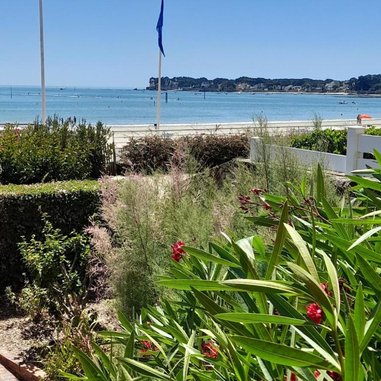 Superbe T2cabine vue mer accès direct plage Benoît - Two-Bedroom Apartment - 8