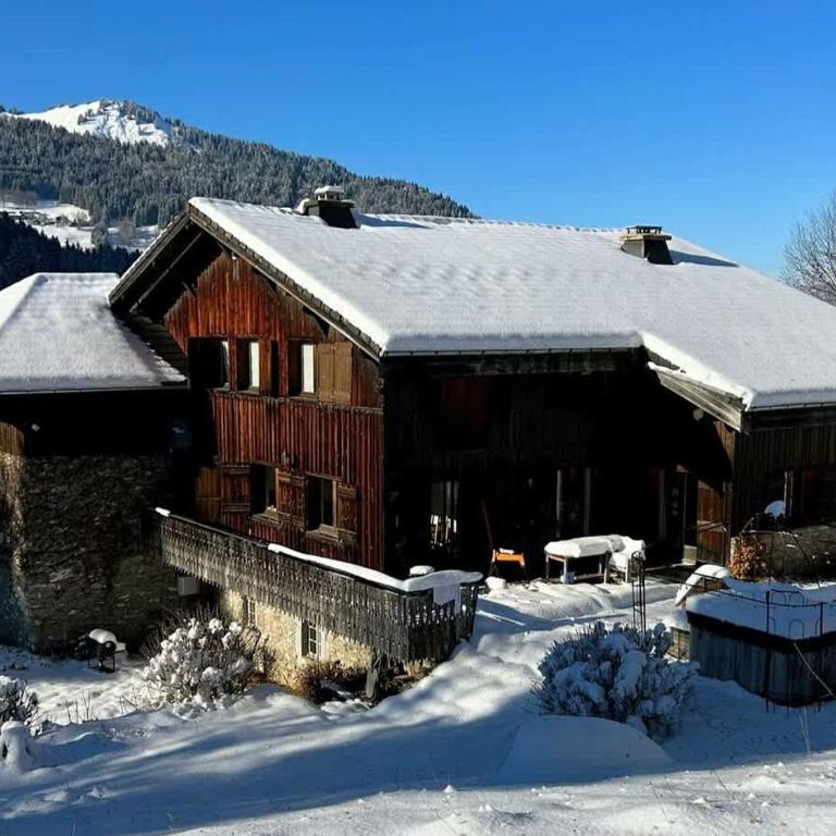 Alpine Chalet with Mountain Views and Hot Tub - Chalet - 11