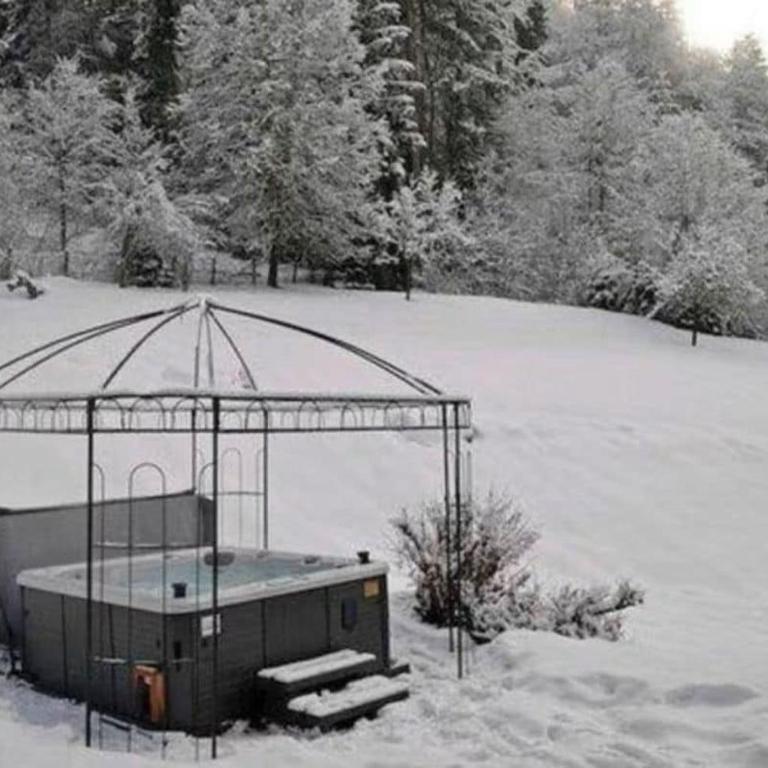 Alpine Chalet with Mountain Views and Hot Tub - Chalet - 13