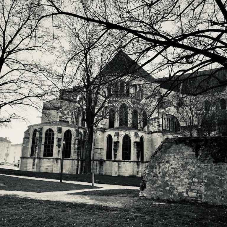 L'Arbane Sacrée, Basilique St Rémi, stationnement gratuit, escapade champenoise - Appartamento Deluxe con 2 Camere da Letto - 26