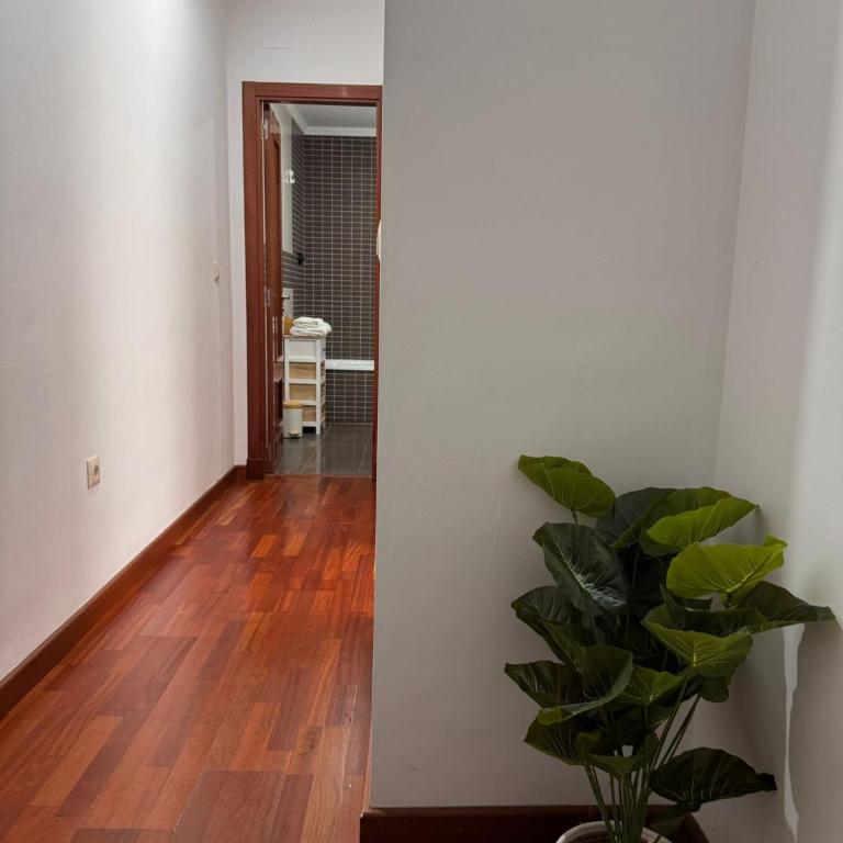 Perez Galdos Sanlucar centro - Apartamento de 2 dormitorios - 36